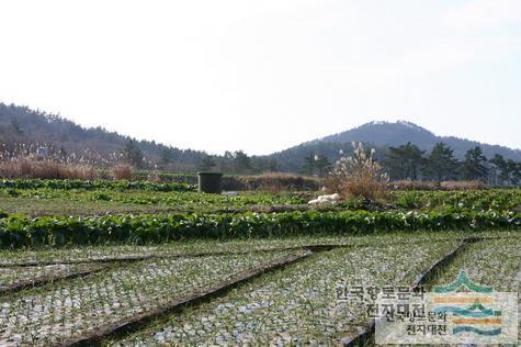 대표시청각 이미지