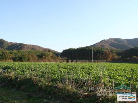 대표시청각 이미지