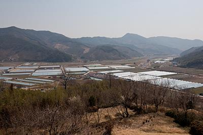 남산리 썸네일 이미지