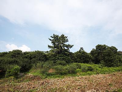 영계서원 터 전경 썸네일 이미지