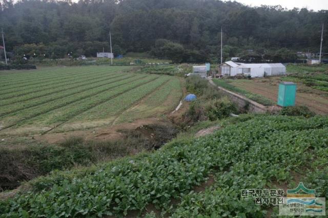 대표시청각 이미지