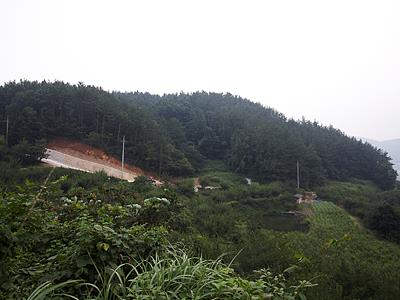 전도리 고분 전경 썸네일 이미지