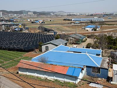 야당리 썸네일 이미지