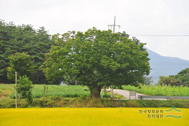 대표시청각 이미지