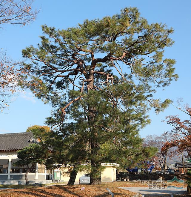 대표시청각 이미지