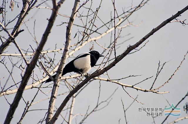 대표시청각 이미지