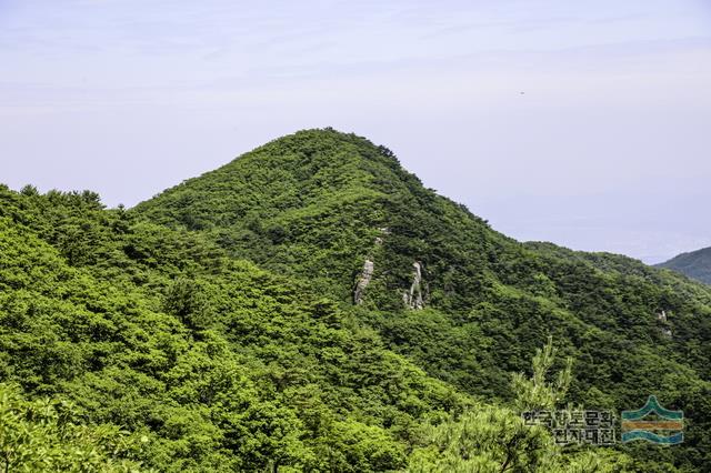 대표시청각 이미지